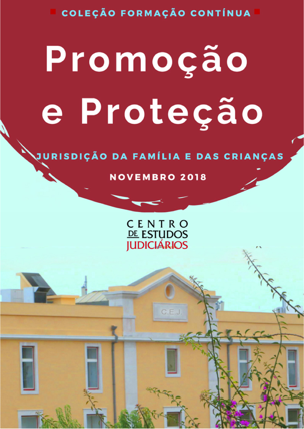 Jurisdição da Família e das Crianças - Promoção e Proteção