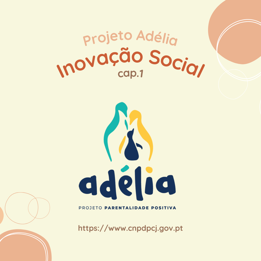 inovação social cap 1