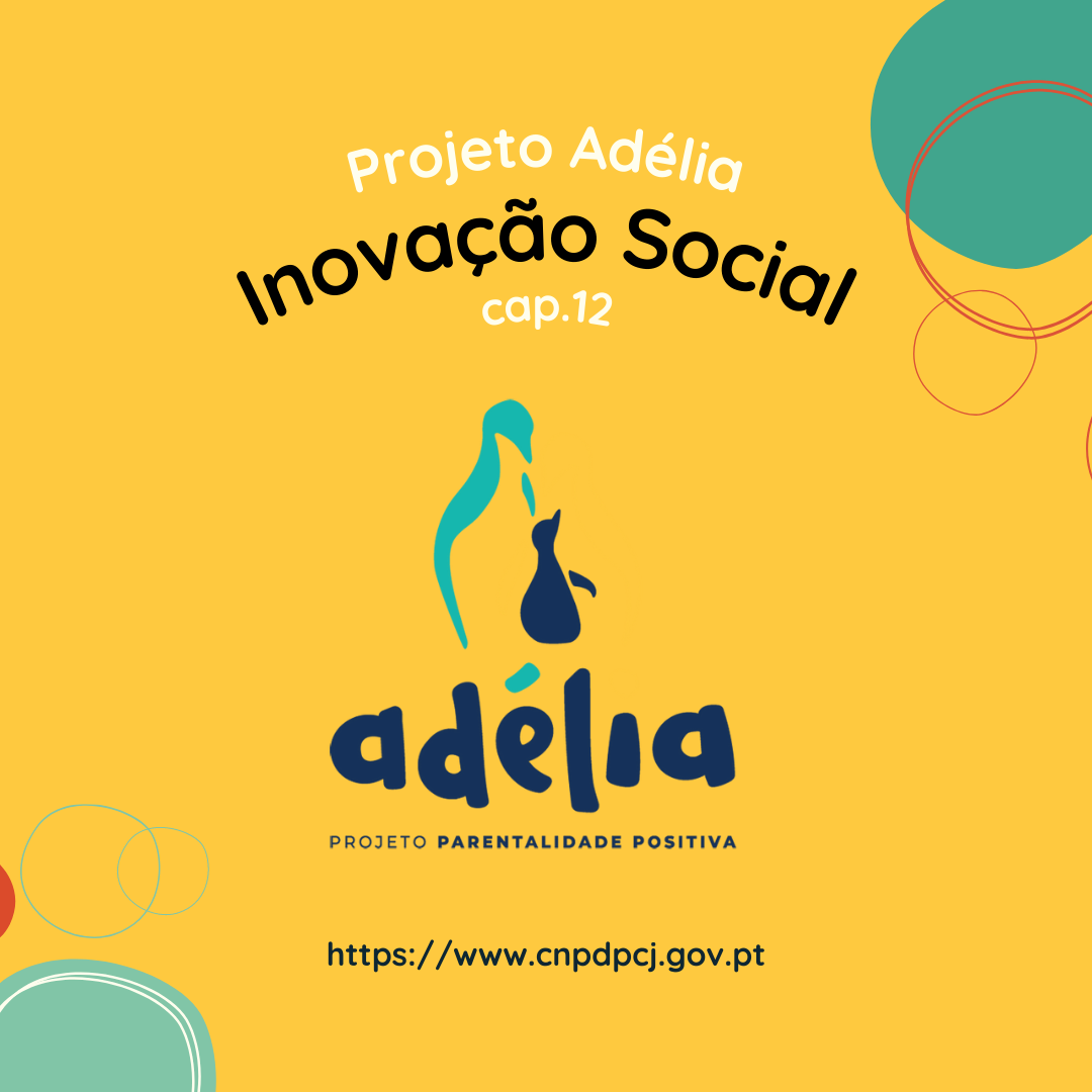 inovação social cap 12