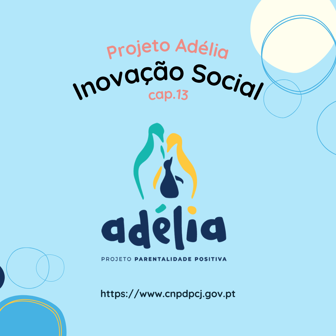 inovação social cap 13