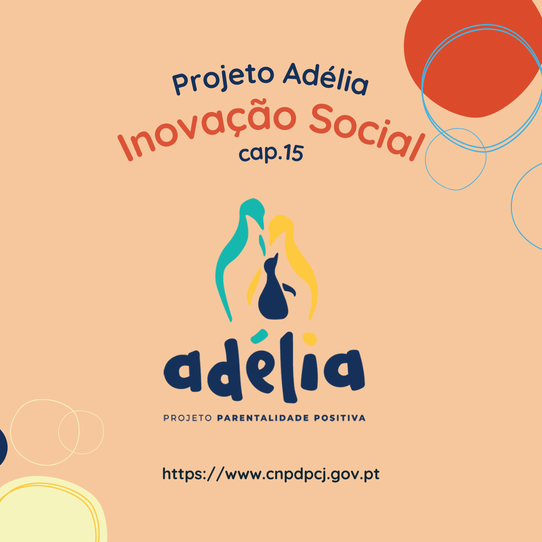 inovação social cap 15