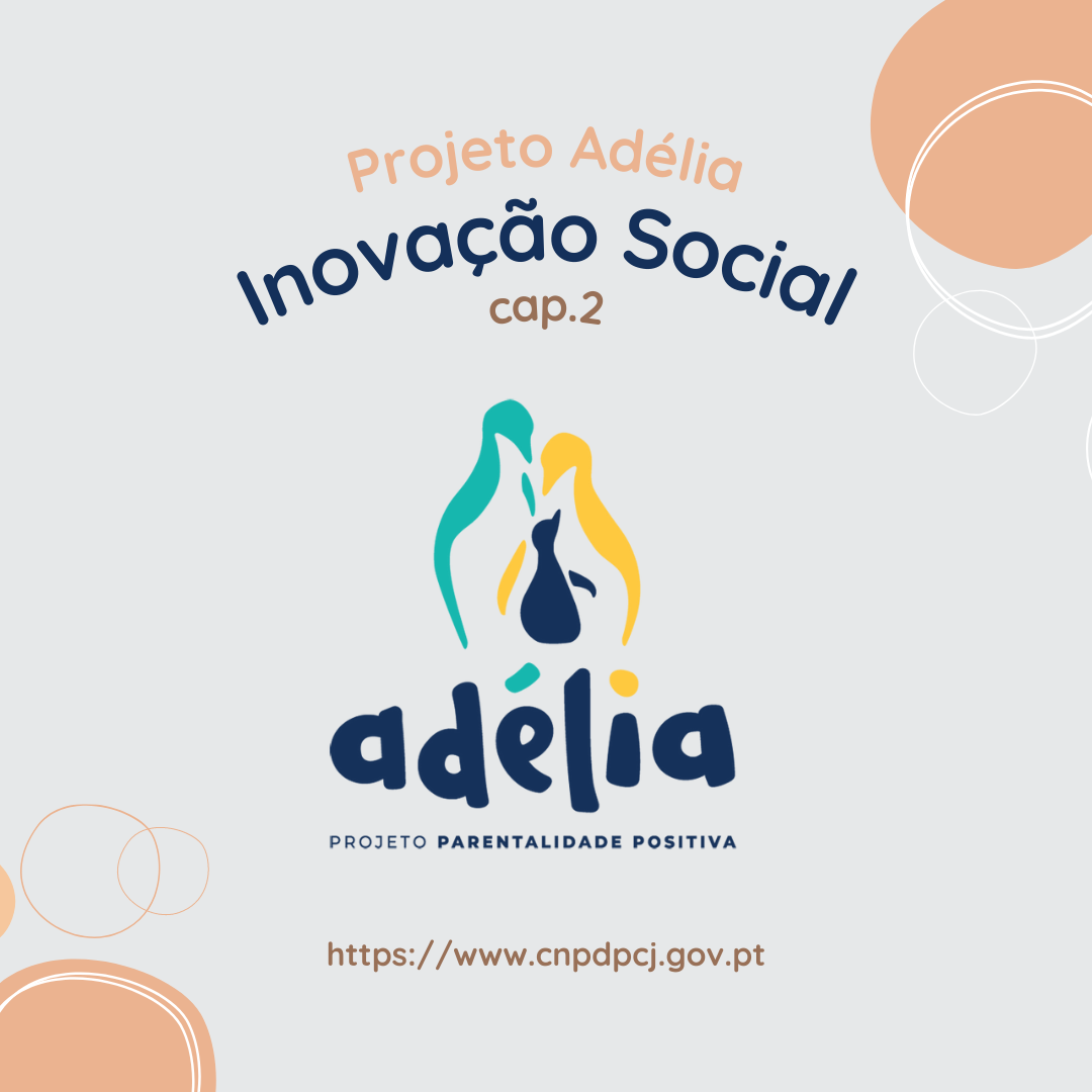 inovação social cap 2