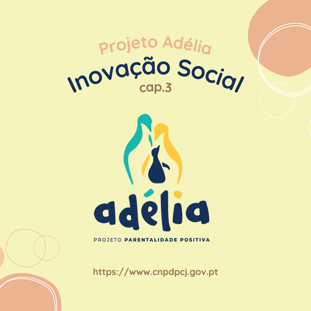 inovação social cap 3