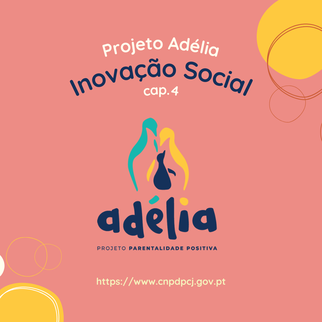 inovação social cap 4