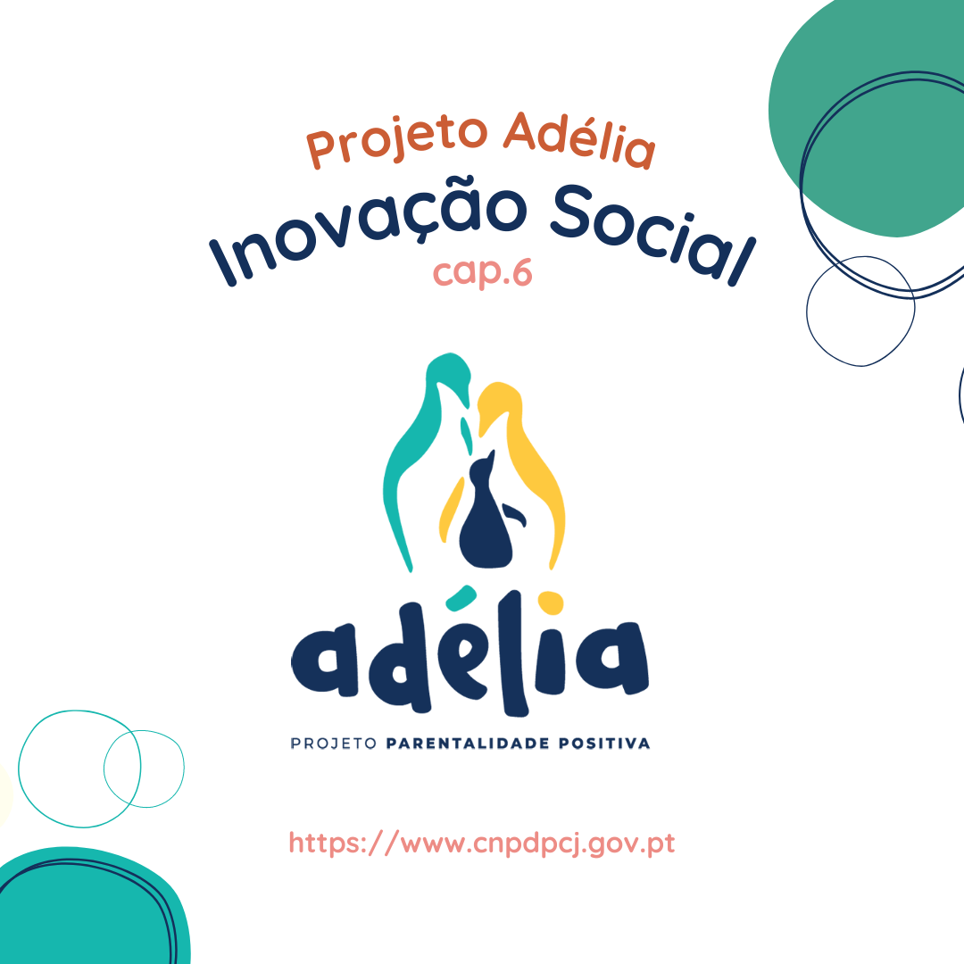 inovação social cap 6