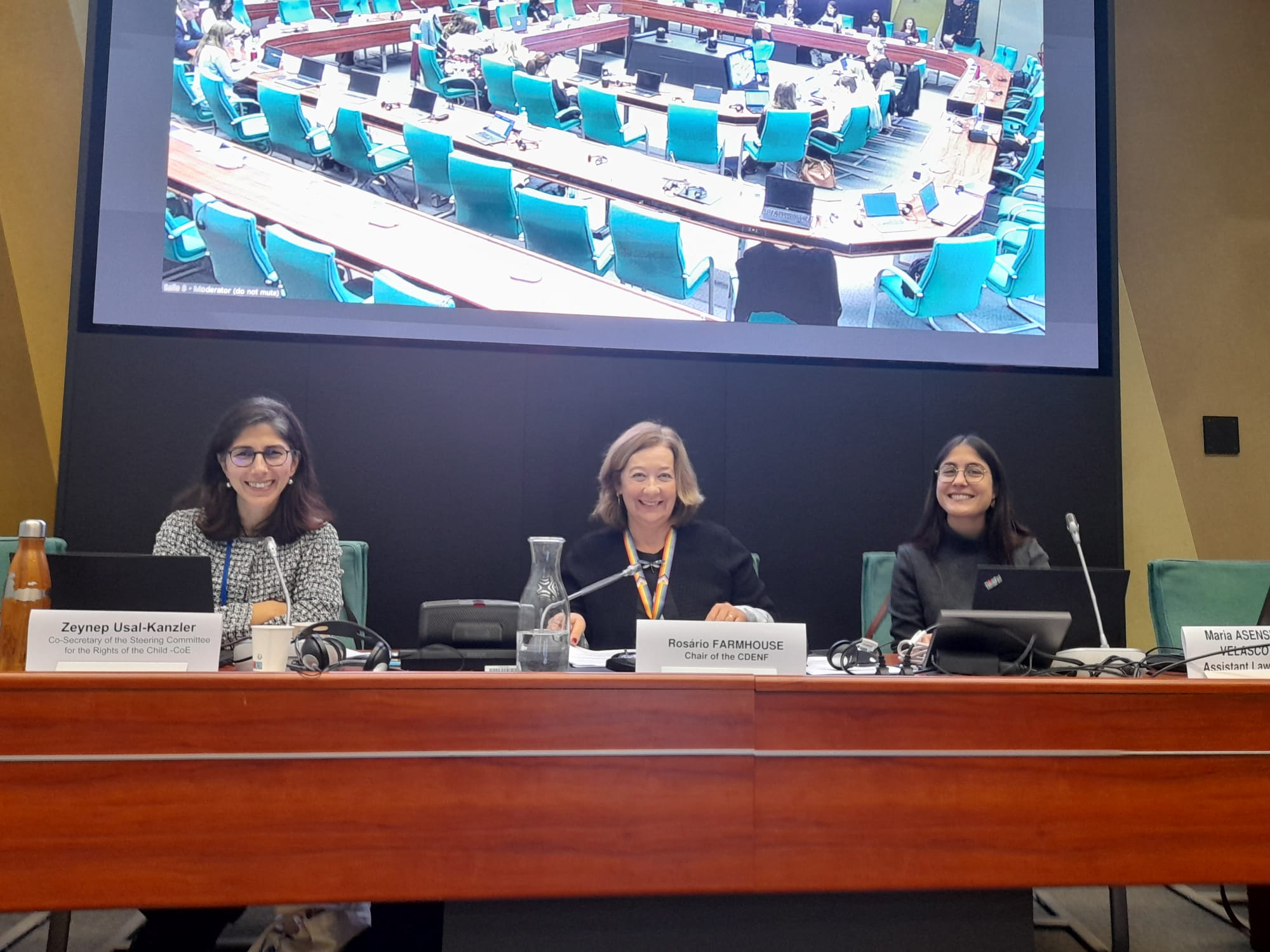 8ª Reunião Plenária do Comité Diretor dos Direitos da Criança